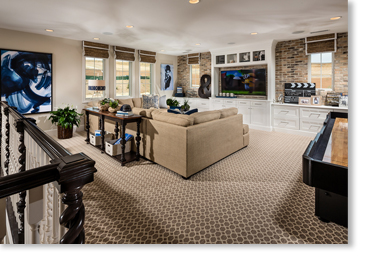 Special Used Thin Brick Veneer / Eagle Buff