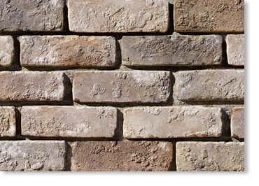 Special Used Thin Brick Veneer / Eagle Buff