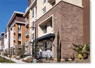 Belgian Thin Brick Veneer / Brookside