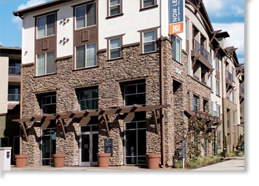 Canyon Ledge Manufactured Stone / Dakota Brown