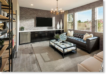 Belgian Thin Brick Veneer / Bear Creek