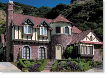 Special Used Thin Brick Veneer / Rustic Blend