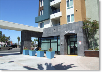 Colosseum Travertine Manufactured Stone / Black Forest