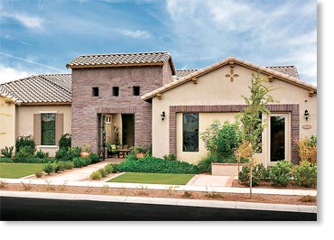 Adobe Thin Brick Veneer / Sienna