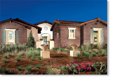 Adobe Thin Brick Veneer / Sienna
