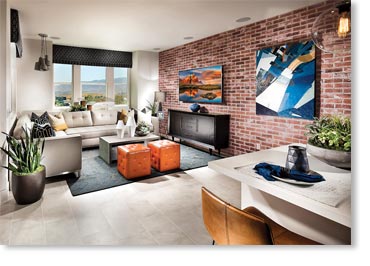 Special Used Thin Brick Veneer / Rustic Blend