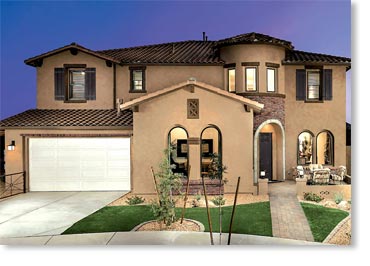 Special Used Thin Brick Veneer / Rustic Blend