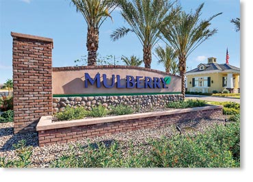 Special Used Thin Brick Veneer / Rustic Blend