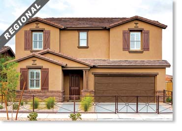 Special Used Thin Brick Veneer / Carmel Mountain