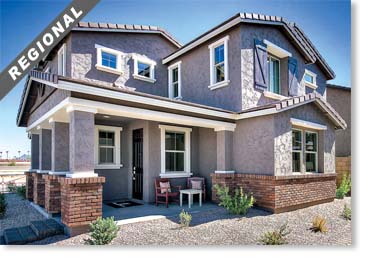 Special Used Thin Brick Veneer / Carmel Mountain