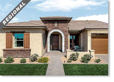 Special Used Thin Brick Veneer / Country