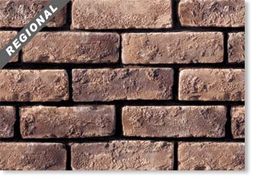 Special Used Thin Brick Veneer / Country