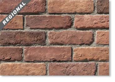 Special Used Thin Brick Veneer / Tribecca