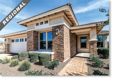 Wirecut Thin Brick Veneer / Spectrum