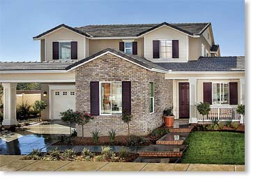 Special Used Thin Brick Veneer / Eagle Buff