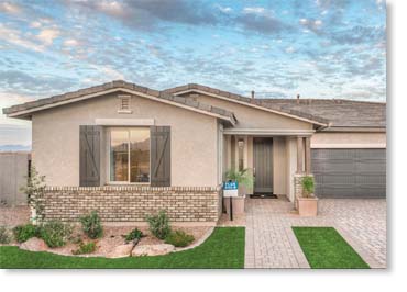 Special Used Thin Brick Veneer / Eagle Buff