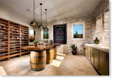 Special Used Thin Brick Veneer / Eagle Buff