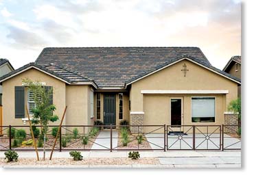 Special Used Thin Brick Veneer / Eagle Buff