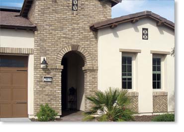 Special Used Thin Brick Veneer / Eagle Buff