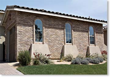 Special Used Thin Brick Veneer / Eagle Buff