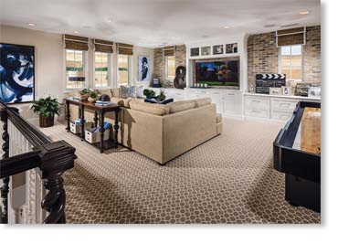 Special Used Thin Brick Veneer / Eagle Buff