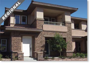 Special Used Thin Brick Veneer / Country