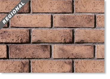 Wirecut Thin Brick Veneer / Spectrum