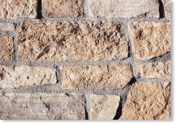 Osage Stone Veneer / Ancient Reef