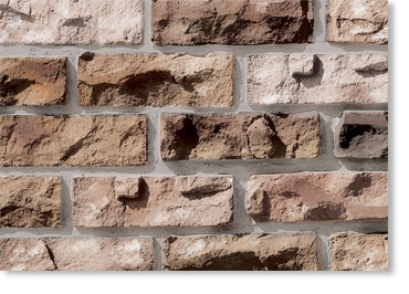 Sculptured Thin Brick Veneer / Eagle Buff
