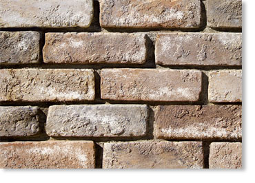 Special Used Thin Brick Veneer / Eagle Buff