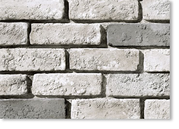 Special Used Thin Brick Veneer / Glacier