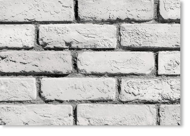 Special Used Thin Brick Veneer / White