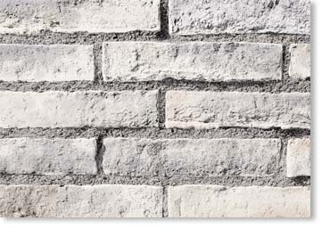 Roman Thin Brick Veneer / Winter Oak