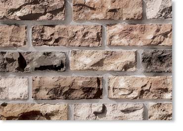 Sculptured Thin Brick Veneer / Eagle Buff