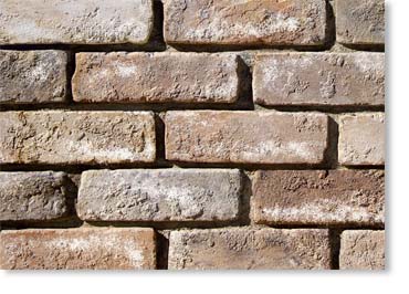 Special Used Thin Brick Veneer / Eagle Buff