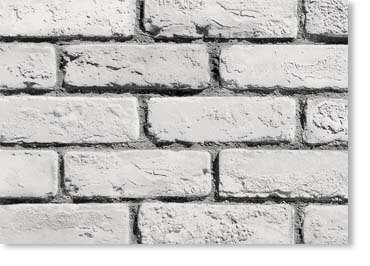 Special Used Thin Brick Veneer / White